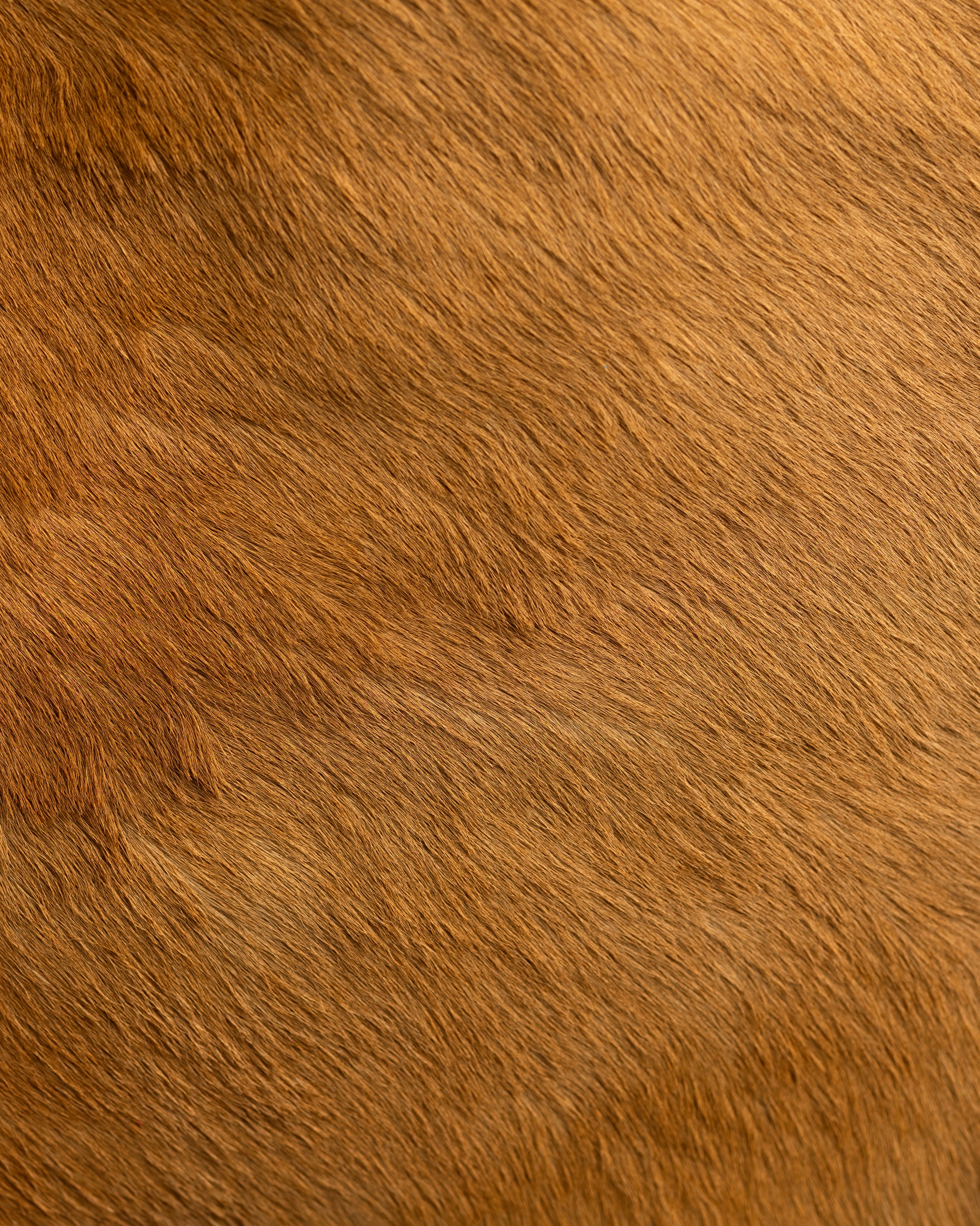 ROGUE — Brown Cowhide Fringe Bag